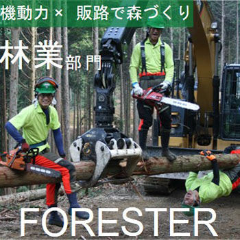 林業部門